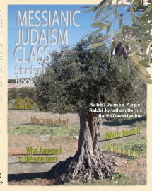 Messianic Judaism Class, Student Book